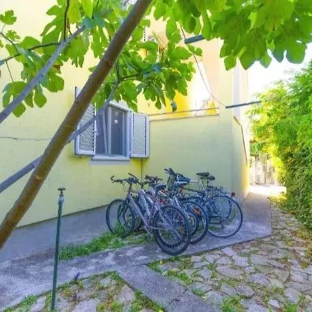 Petrovic Rogoznica (Sibenik-Knin)