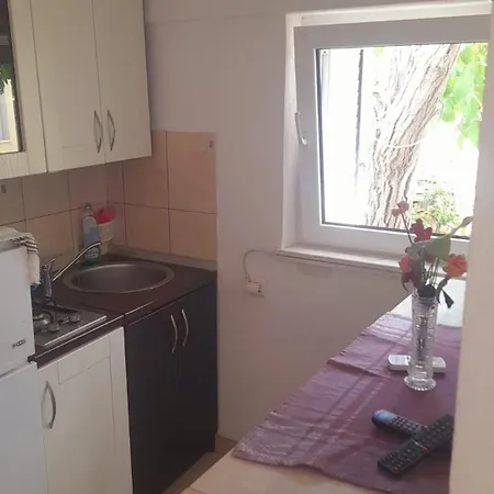 Apartment Petrovic *