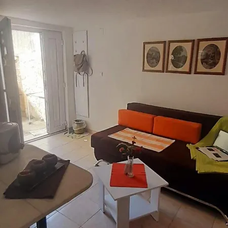 Apartment Petrovic *