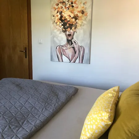 Apartment Petrovic *