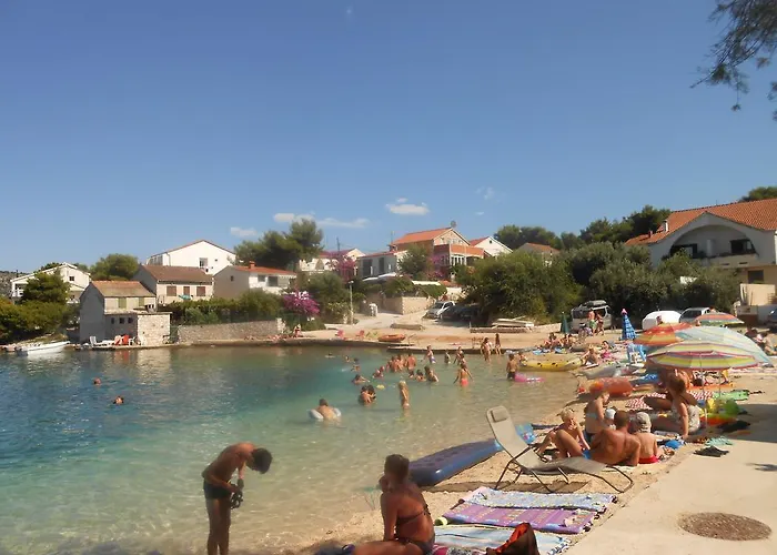 Apartment Petrovic *